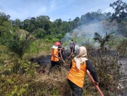 Cuaca Panas, Sijunjung Rawan Kebakaran